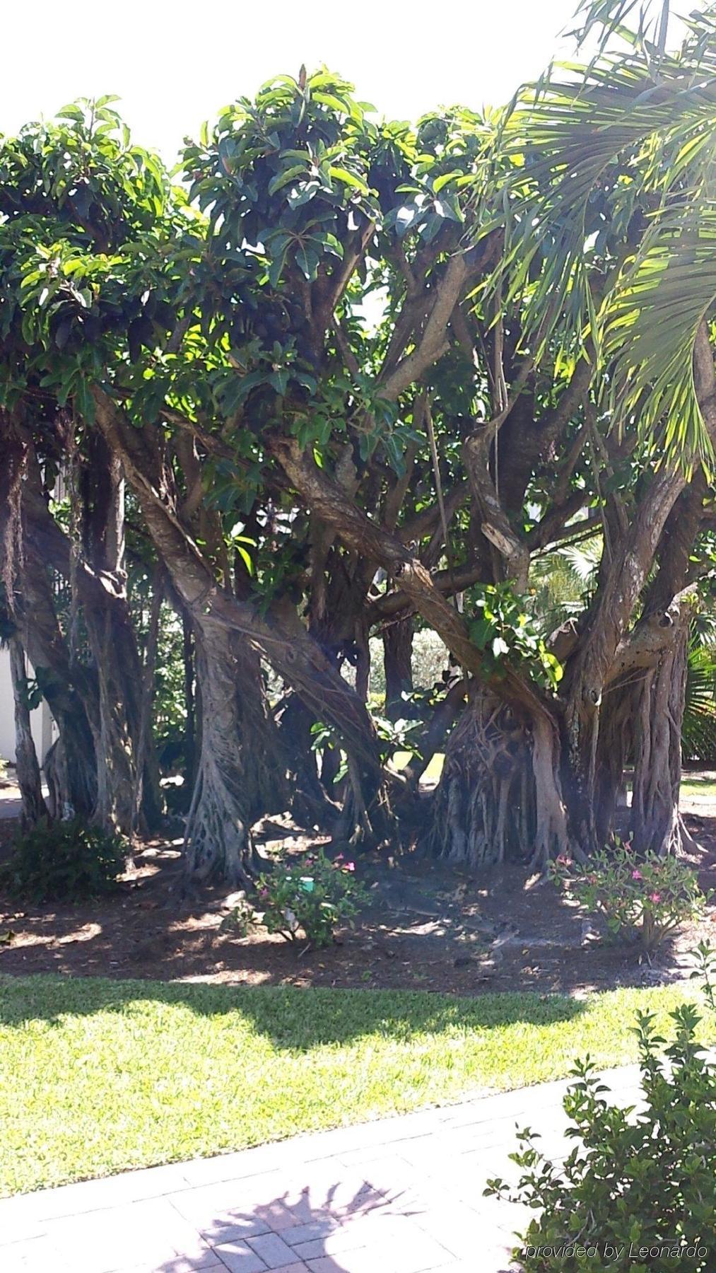 Sanibel Siesta Condo Dış mekan fotoğraf